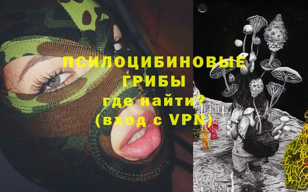 трава Покачи