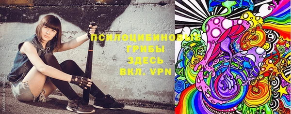 трава Покачи