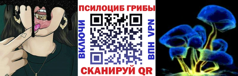 Псилоцибиновые грибы ЛСД  купить наркотик  Урус-Мартан 